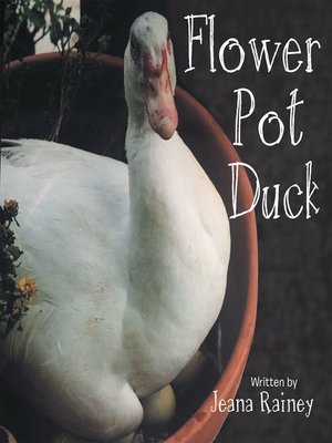 cover image of Flower Pot Duck